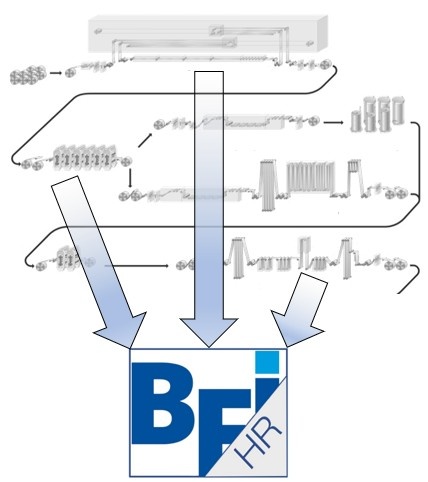 BFI HR-Server: Simultane Spei­che­rung über alle Pro­zess­stufen hinweg