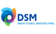 DSM Chemical Technology R & D BV